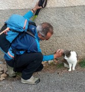09 Una carezza al micetto 